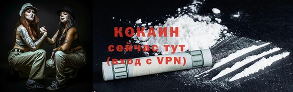 прущие грибы Балабаново