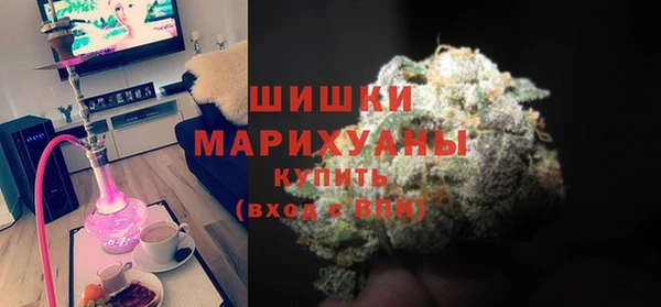прущие грибы Балабаново