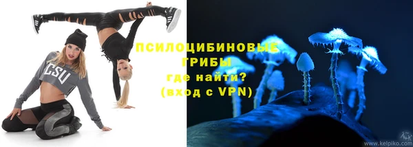 прущие грибы Балабаново