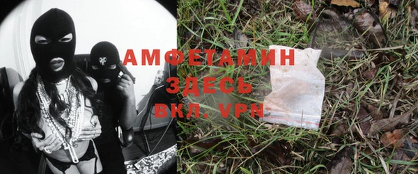 прущие грибы Балабаново