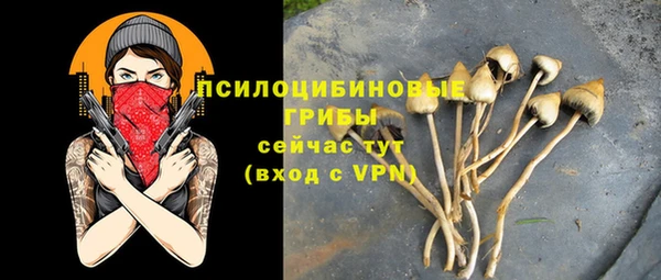 мескалин Баксан